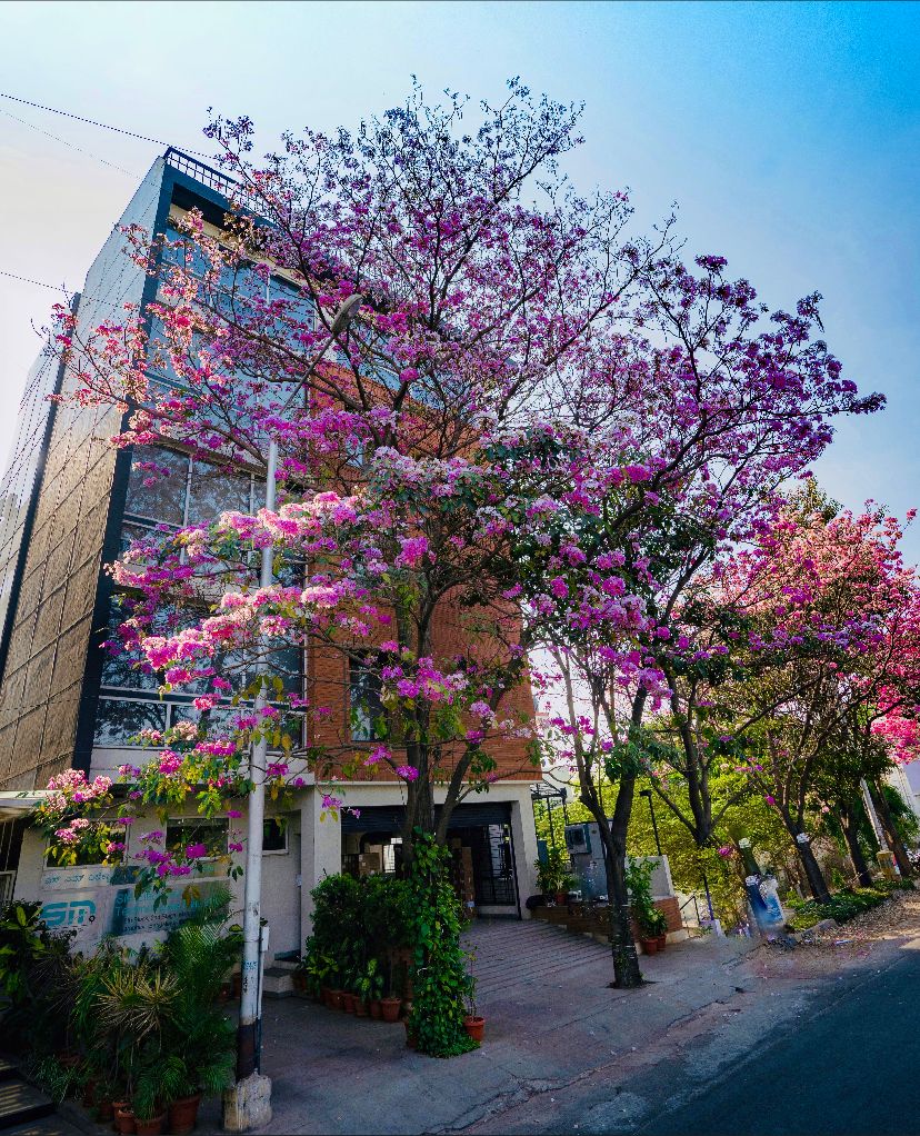 SM Electronic Technologies